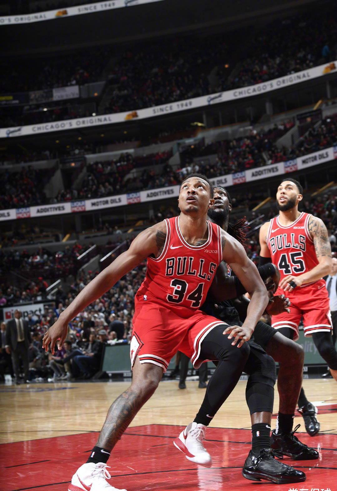 他们将有望 他们将有望