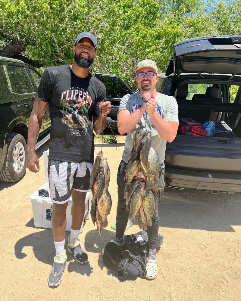 一颗新星 一颗新星