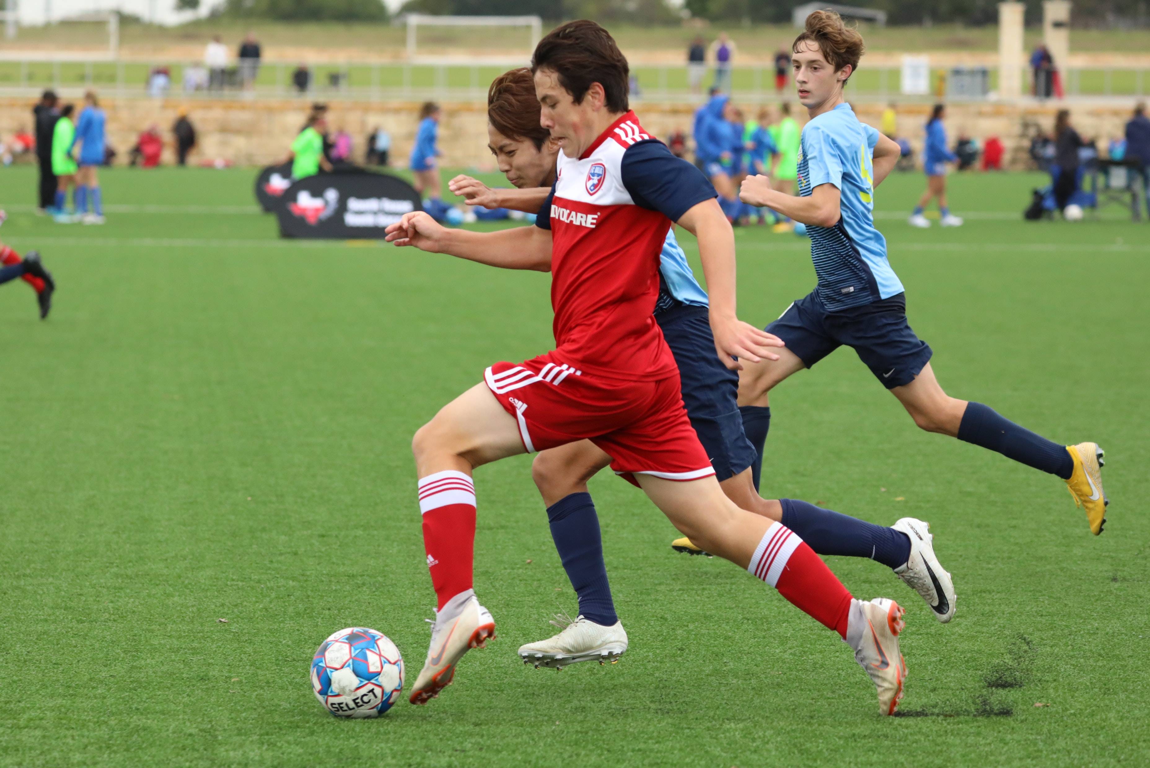 迷对他寄予 迷对他寄予