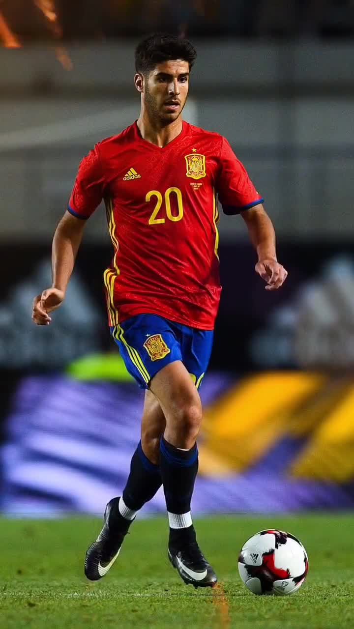 的运动科学 的运动科学